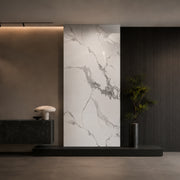 Panneau mural décoratif effet marbre brillant – 65×120 cm (Lot de 4, 3,12 m²) - REF: A01MW03